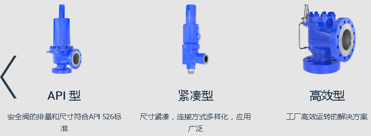 高性价比进口安全阀选德国leser