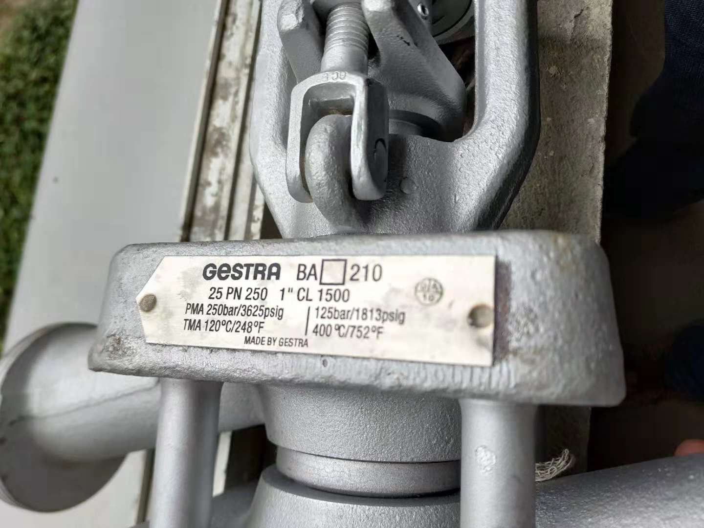 1735493533.jpg